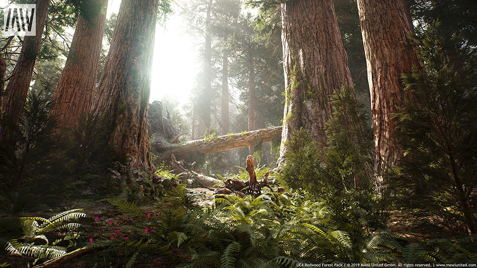 Agancg_UE4_Redwood-Forest-Collection01